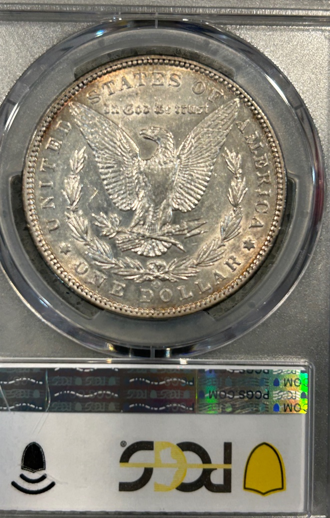 PCGS-Morgan-Dollar-Basic-Set